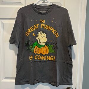 Peanuts “The Great Pumpkin Is Coming!” T-shirt sized XL